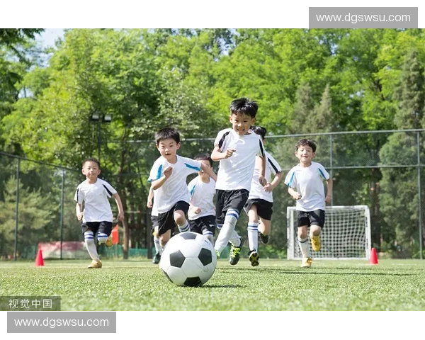 打造青少年体能与意志全面提升的高效运动训练营新模式